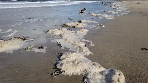 Παχύς αφρός θάλασσας στην αμμώδη ακτή της κομητείας Donegal - Ιρλανδία — Αρχείο Βίντεο