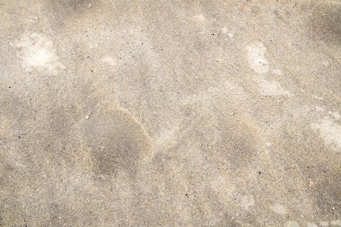 Kumda kabarcıklar gelgitin geldiğini gösteriyor.