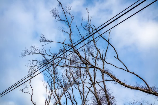 Fırtına sonrası elektrik ve iletişim hattı devrilmiş. — Stok fotoğraf