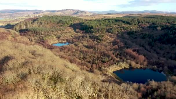 The reforestation continues at Bonny Glen in County Donegal - Ireland. — Stock Video