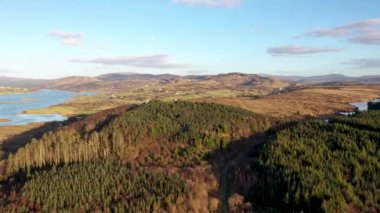 Ormanların yeniden ağaçlandırılması İrlanda Donegal 'deki Bonny Glen' de devam ediyor..