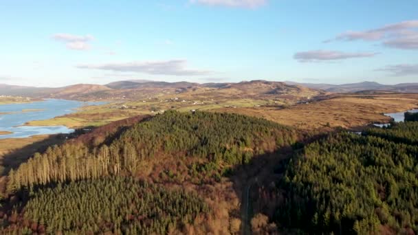 O reflorestamento continua em Bonny Glen no Condado de Donegal - Irlanda. — Vídeo de Stock