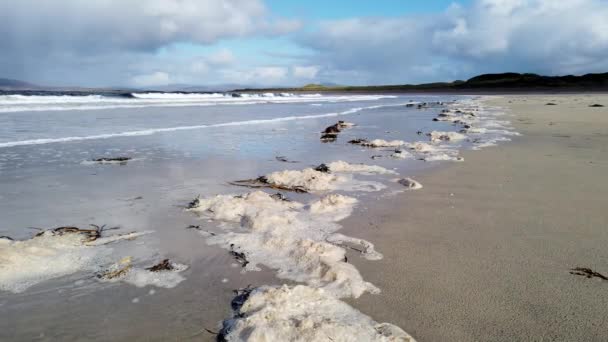 Espuma espessa de mar na costa arenosa no Condado de Donegal - Irlanda — Vídeo de Stock