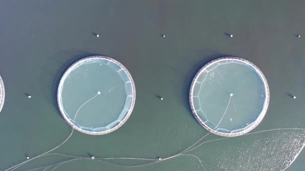 Вид з повітря на рибну ферму в графстві Донегал (Ірландія). — стокове відео