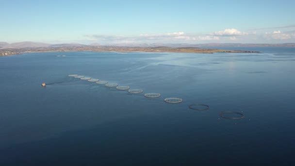 Veduta aerea dell'allevamento ittico nella contea di Donegal - Irlanda — Video Stock