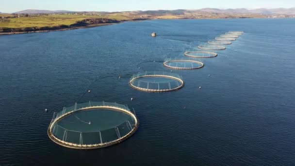 Вид с воздуха на рыбную ферму в графстве Донегал - Ирландия — стоковое видео
