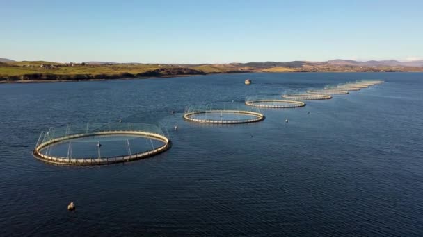 Donegal, İrlanda 'daki balık çiftliğinin havadan görünüşü — Stok video