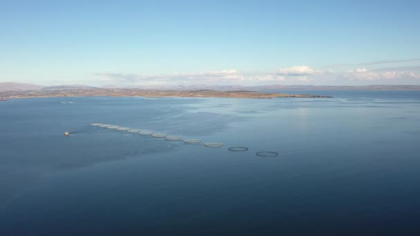 Veduta aerea dell'allevamento ittico nella contea di Donegal - Irlanda — Video Stock