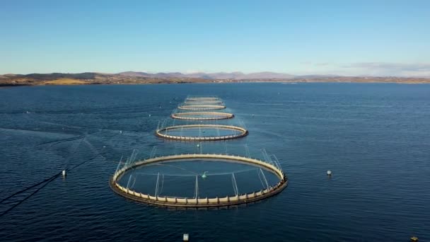 Vista aérea de la piscifactoría en el Condado de Donegal - Irlanda — Vídeo de stock