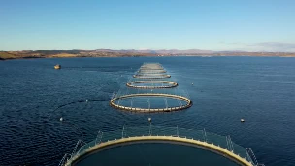 Pemandangan udara peternakan ikan di County Donegal - Irlandia — Stok Video
