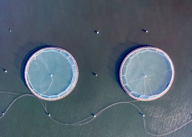 Donegal, İrlanda 'daki balık çiftliğinin havadan görünüşü