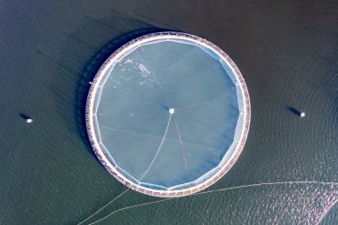 Donegal, İrlanda 'daki balık çiftliğinin havadan görünüşü