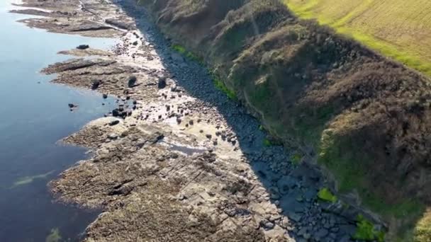 Dunkineely, County Donegal, İrlanda 'nın Ballyederland kentindeki inanılmaz kayalık sahil manzarası. — Stok video