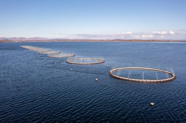 Donegal, İrlanda 'daki balık çiftliğinin havadan görünüşü