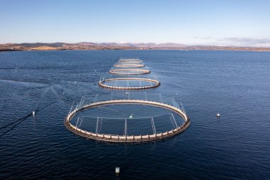 Donegal, İrlanda 'daki balık çiftliğinin havadan görünüşü