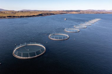 Donegal, İrlanda 'daki balık çiftliğinin havadan görünüşü