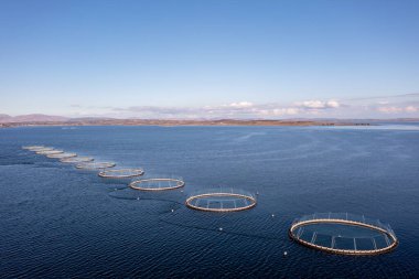 Donegal, İrlanda 'daki balık çiftliğinin havadan görünüşü.