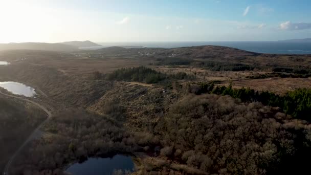Reîmpădurirea Continuă Bonny Glen Județul Donegal Irlanda — Videoclip de stoc