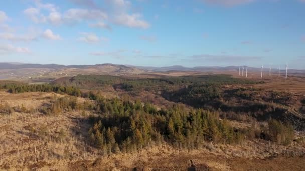 Лісозаготівля Продовжується Бонні Глен Графство Донегал Ірландія — стокове відео