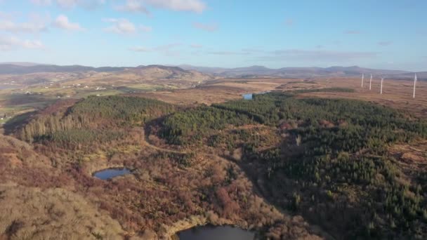 Återbeskogningen Fortsätter Bonny Glen Grevskapet Donegal Irland — Stockvideo