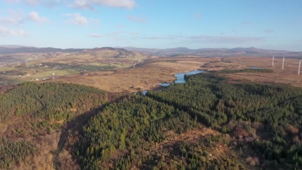 Återbeskogningen Fortsätter Bonny Glen Grevskapet Donegal Irland — Stockvideo