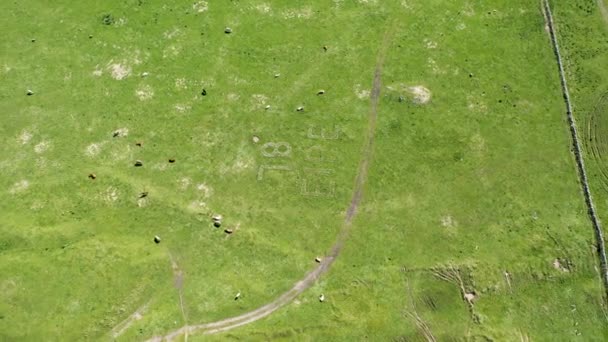 Αεροφωτογραφία Της Πινακίδας Eire Στο Melmore Head Στο County Donegal — Αρχείο Βίντεο