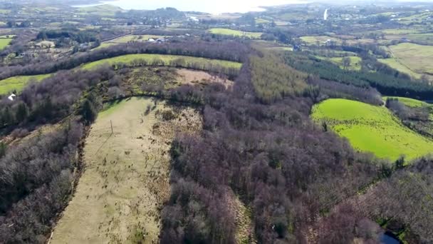 Aerial View Bonny Glen Frosses County Donegal Ireland — Stock Video