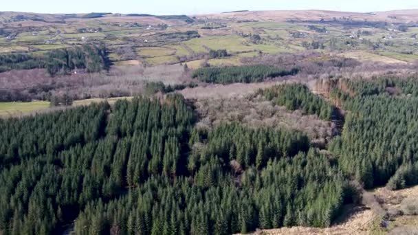 Αεροφωτογραφία Του Bonny Glen Στο Frosses Στο County Donegal Ιρλανδία — Αρχείο Βίντεο