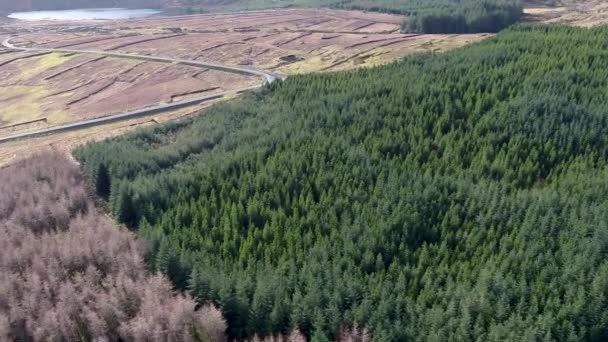 Aerial View Peat Bog Forest Next Lough Aroshin Killybegs County — Stock Video