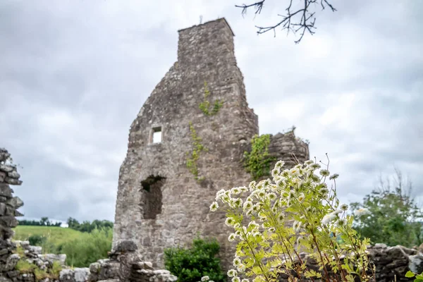 Belo Castelo Tully Por Enniskillen County Fermanagh Irlanda Norte — Fotografia de Stock