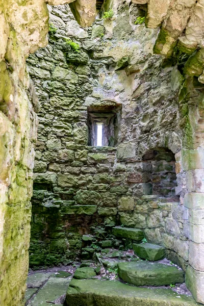 Beautiful Monea Castle Enniskillen County Fermanagh Northern Ireland — Φωτογραφία Αρχείου