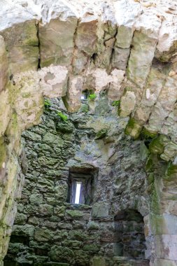 Enniskillen 'den Güzel Monea Şatosu, Fermanagh İlçesi, Kuzey İrlanda.