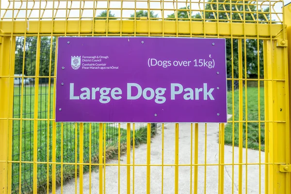 Enniskillen Northern Ireland July 2022 Enniskillen Has Park Dogs — Stockfoto