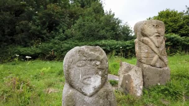 Bronze Age Stone Carviing Two Faces Called Janus Located Caldragh — Stock videók