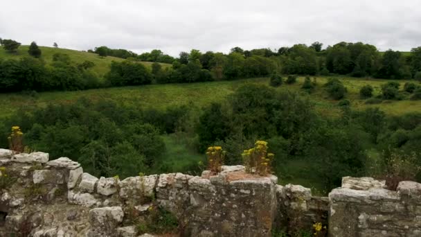 Beautiful Monea Castle Enniskillen County Fermanagh Northern Ireland — Stockvideo