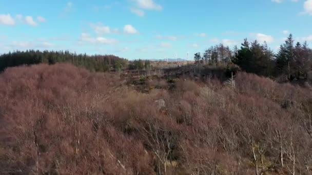 Fliegen Über Torfmoor County Donegal Irland — Stockvideo