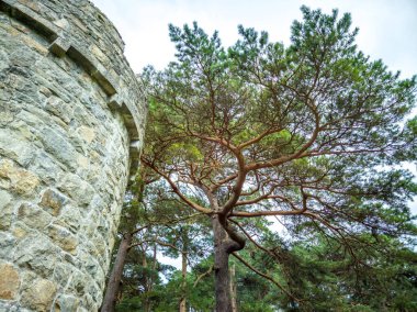 İrlanda 'daki tarihi Glenveagh Kalesi, Donegal.
