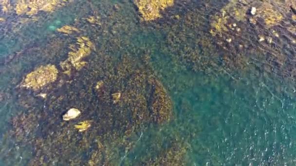 アイルランド共和国ドニゴール州のArranmore島のCloudhcorrビーチからのMagheraの空中ビュー — ストック動画