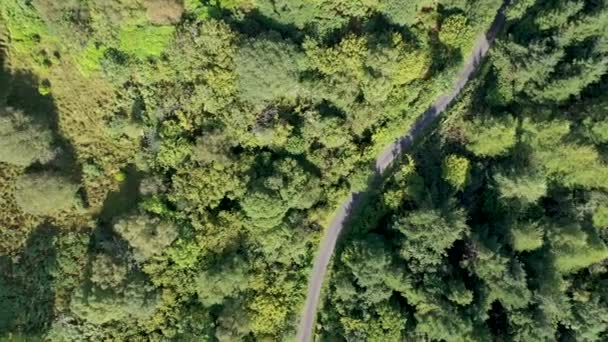 Vista Aérea Ardnamona Por Lough Eske Donegal Irlanda — Vídeo de Stock