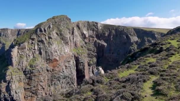 アイルランドのドニゴール州のArranmore島の灯台近くの崖 — ストック動画