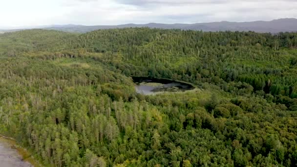 Vista Aérea Lough Lily Ards Forest Park Condado Donegal Irlanda — Vídeos de Stock