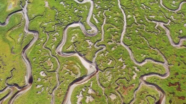Αεροφωτογραφία Του Salt Marsh Στο Ards Forest Park Στο County — Αρχείο Βίντεο