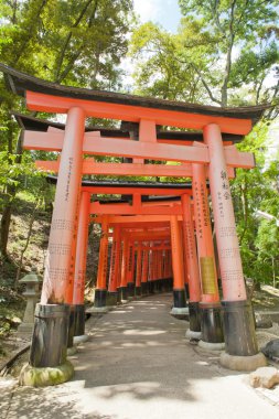 Fushimi Inari