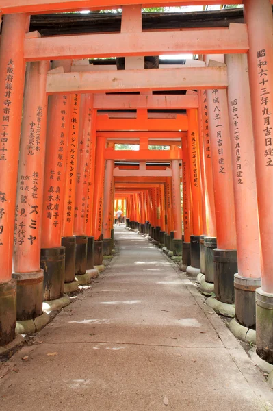 Fushimi Inari — Stok fotoğraf