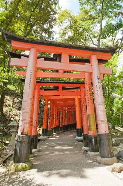 Fushimi Inari — Stock fotografie