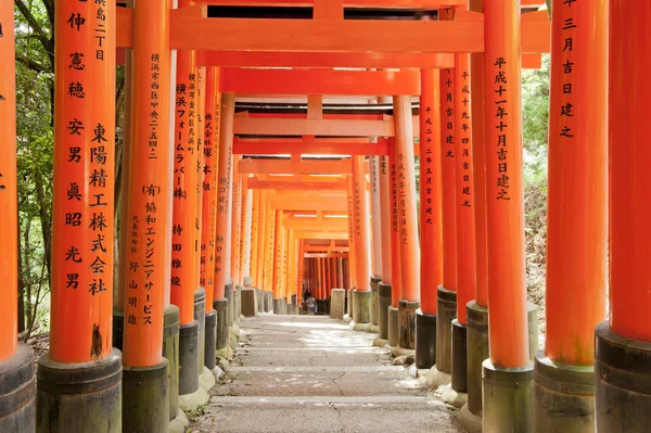 Fushimi Inari Taisha ünlü shinto türbesi — Stok fotoğraf