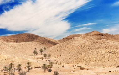 Sahara
