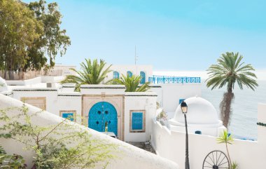 sidi bou dedi