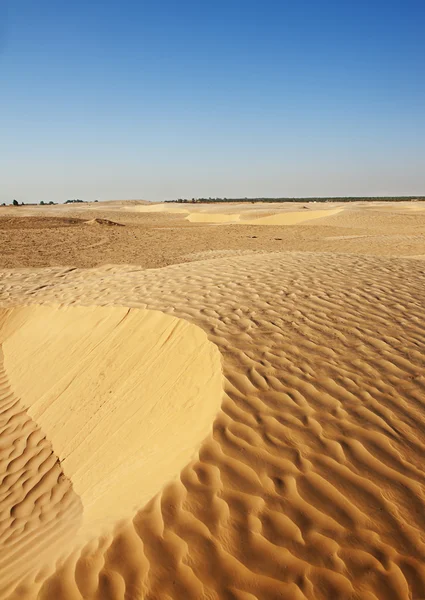 Dune di sabbia nel Sahara — Foto Stock