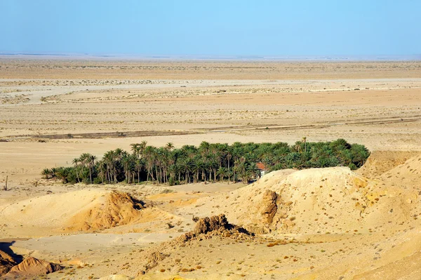 Berg oasis — Stockfoto